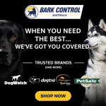 Bark control for happy pets